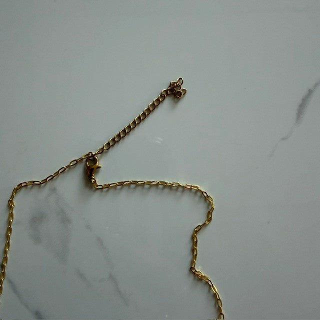 the great pumpkin · gold plated pvd paperclip chain
