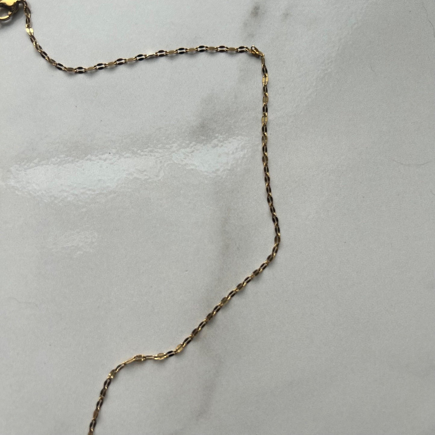 shell yeah • 18" stainless steel necklace