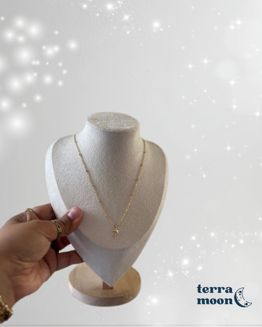 lil delfín • dainty satellite gold plated necklace